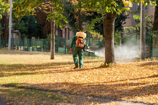 Best Commercial Pest Control Services  in Tularosa, NM