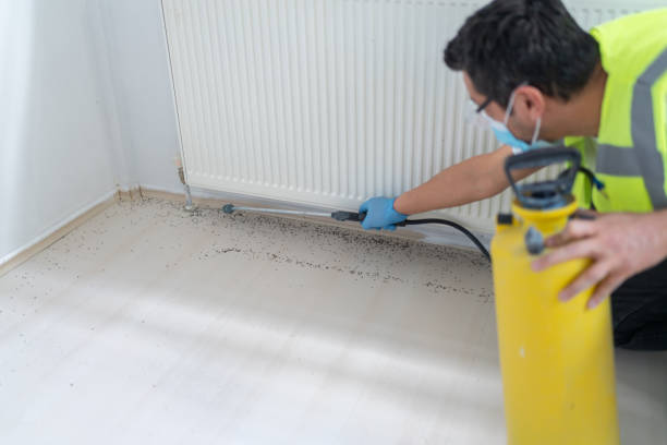 Best Commercial Pest Control Services  in Tularosa, NM